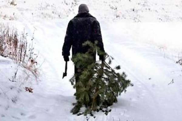 Сдаем помещения в аренду! Сдаем помещения в аренду!